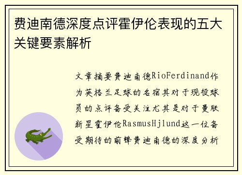费迪南德深度点评霍伊伦表现的五大关键要素解析